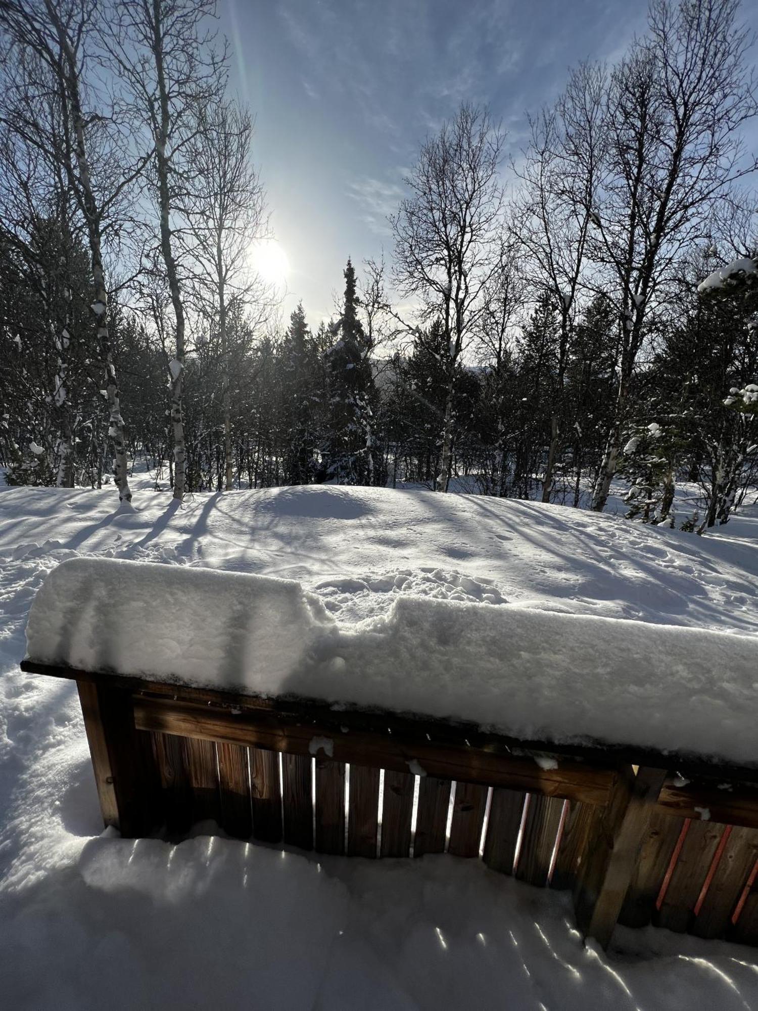Koselig Hytte Med Usjenert Og Solrik Beliggenhet Geilo Exterior foto